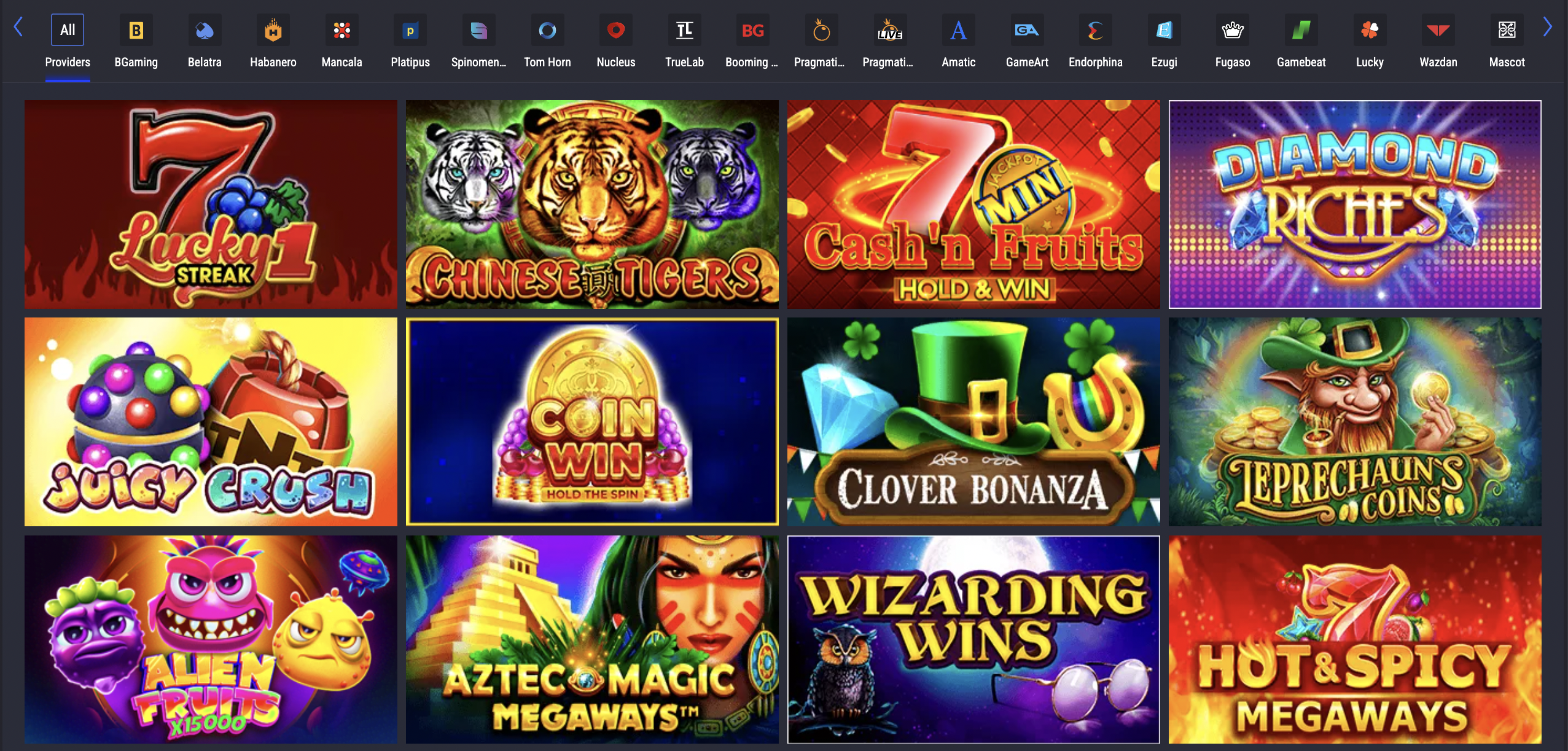 LTC Casino Game Selection & Software Providers