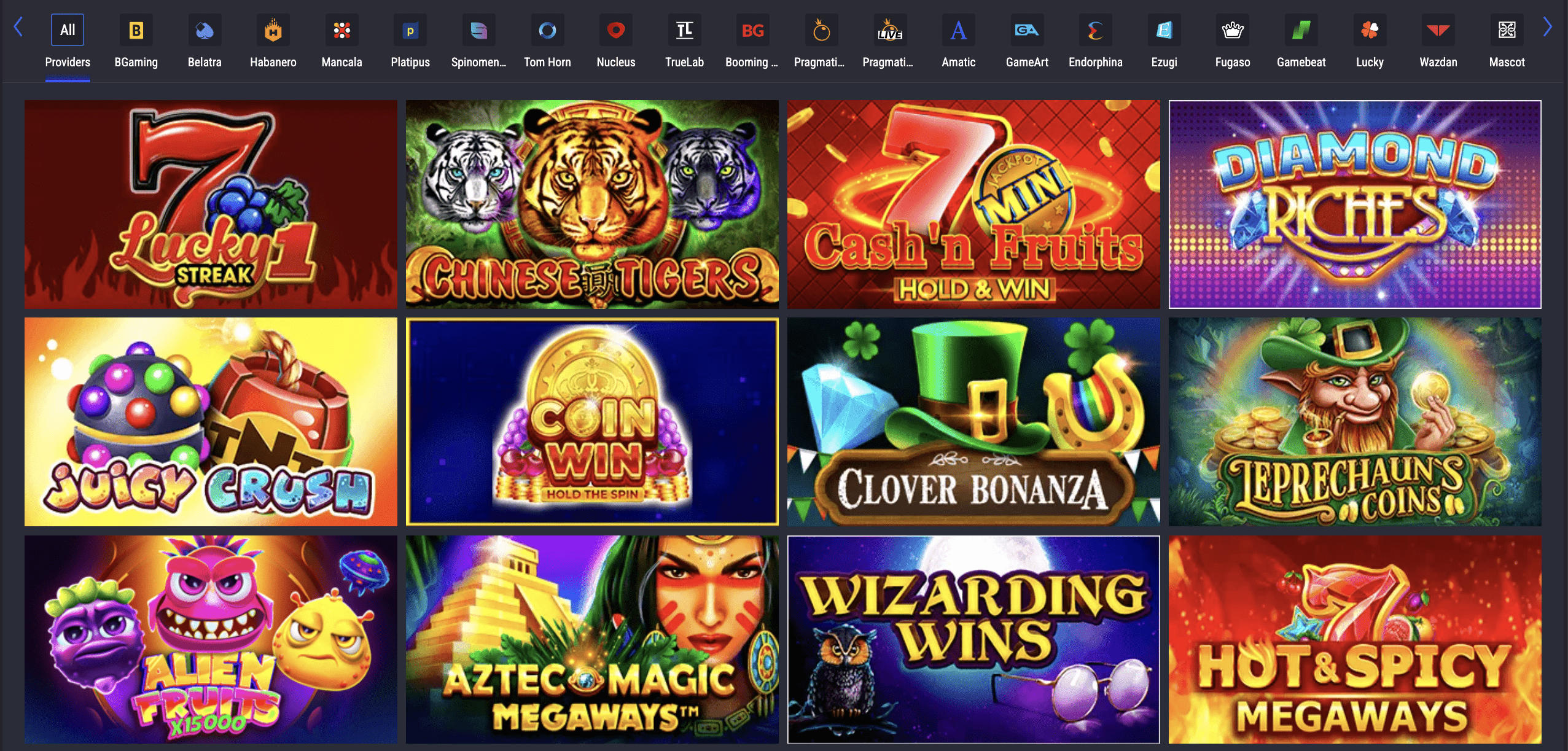 LTC Casino Game Selection & Software Providers