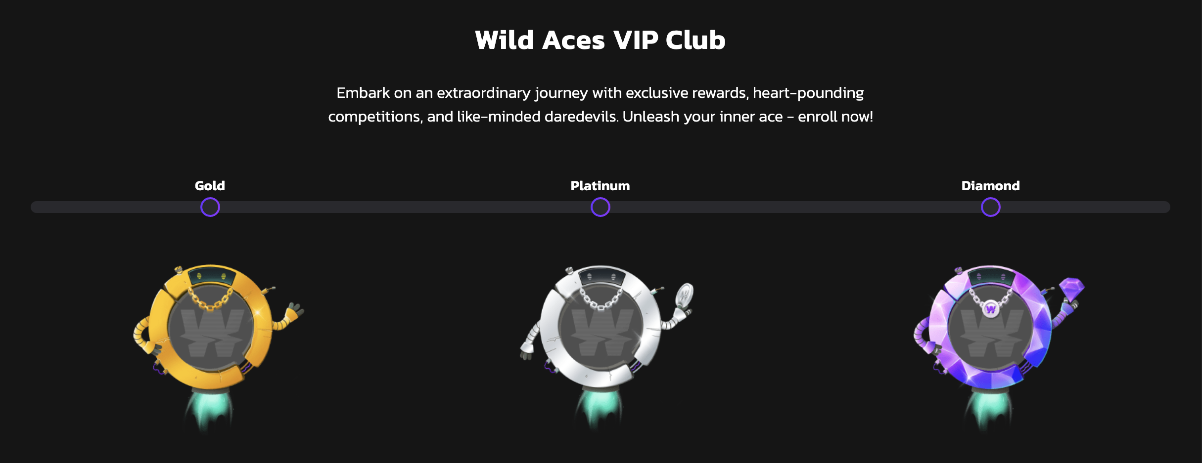 WildCoins Casino VIP Features