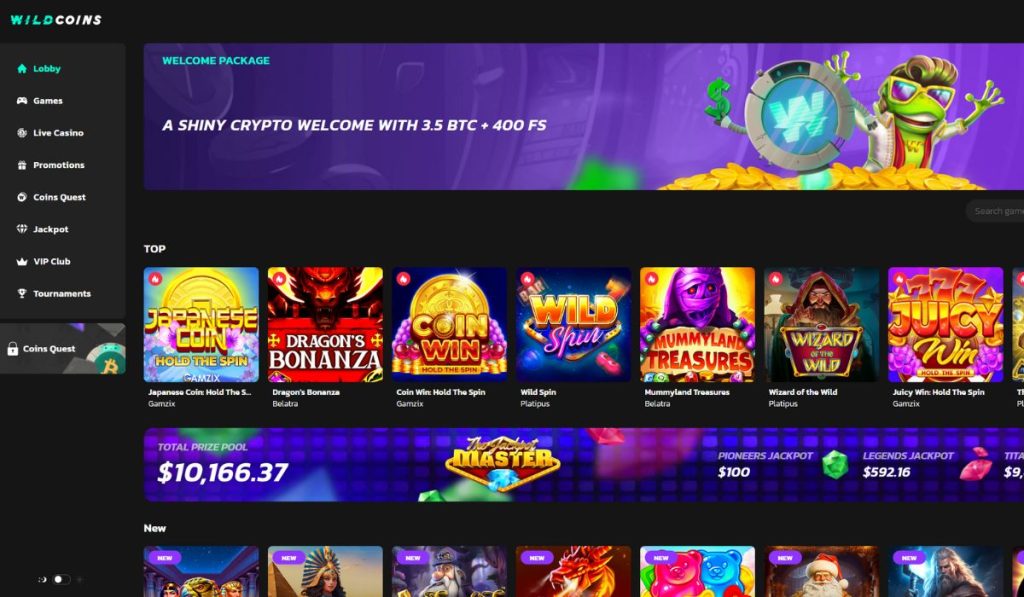 WildCoins Casino Website Overview